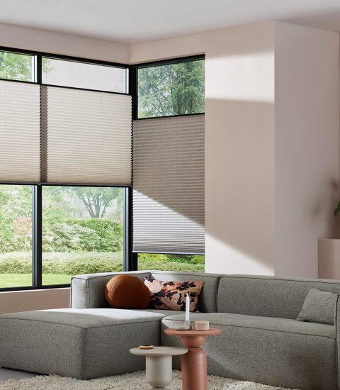 Lichte Plissé shades in een moderne woonkamer